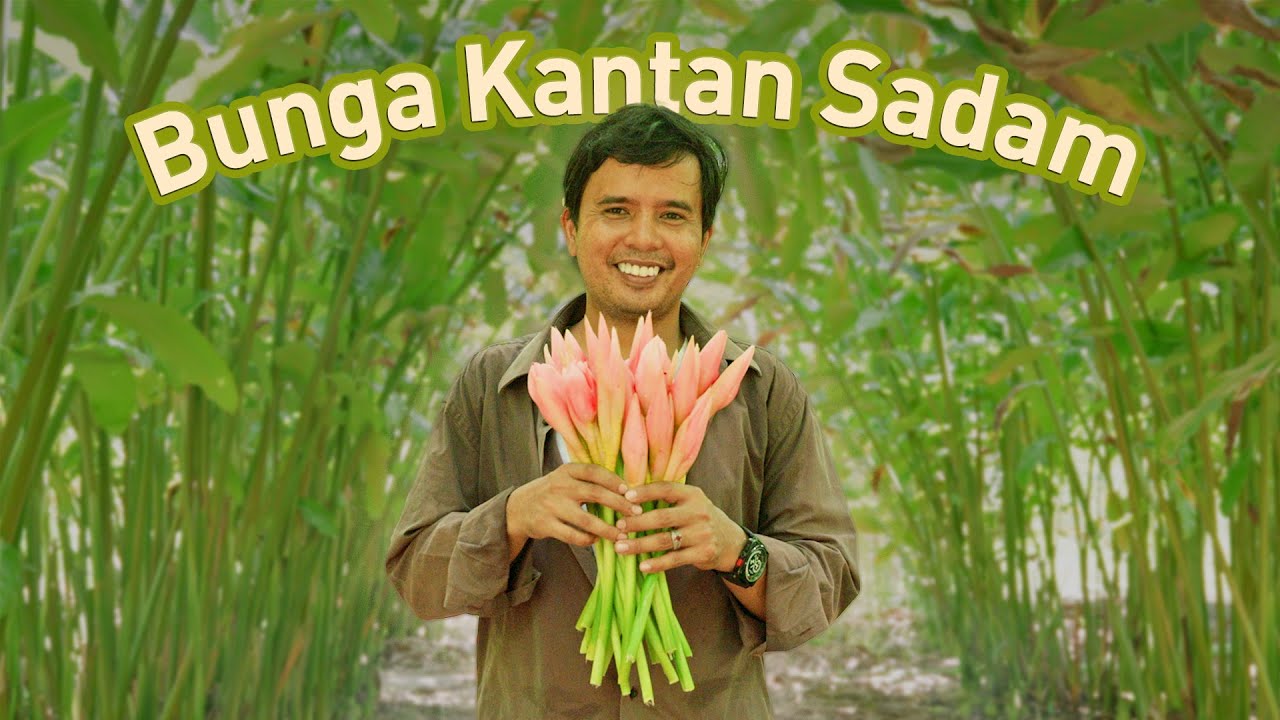 Tukar Tanah SAMPAH Jadi Syurga Kantan! | Ladang Kantan Bangi