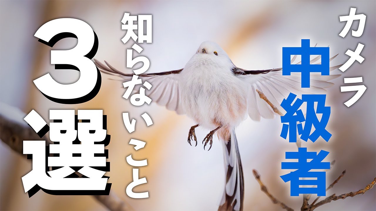 カメラ「初心者〜中級者」が『意外と知らないこと３選』！カメラの設定・性能