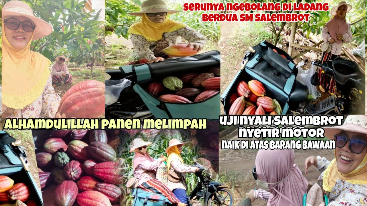 Uji nyali dari ladang Salembrot nyetir motor bawa barang bawaan sebanyak ini⁉️ Mbak iti vlog 