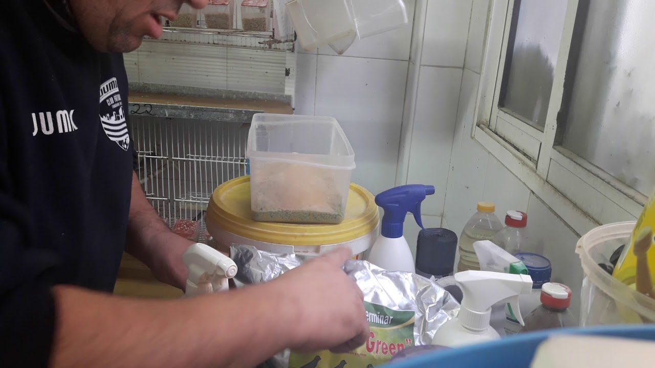 Pasta cr&iacute;a orniluck 2 parte