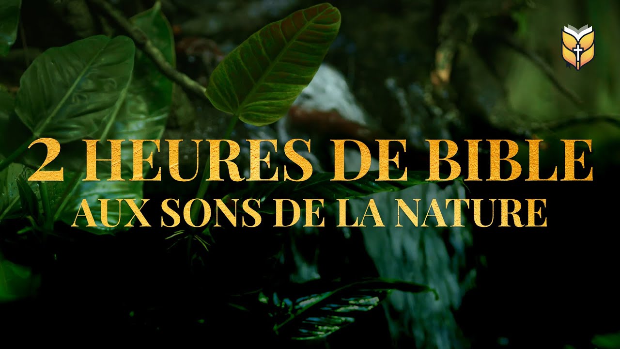 2 Heures de Bible aux sons de la nature #biblevision