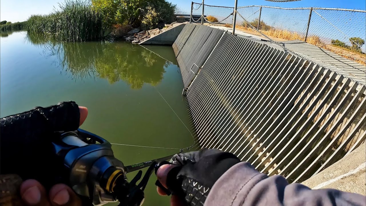 Awesome Day Of Bass Fishing! (Buena Vista Lake Bakersfield, Ca)