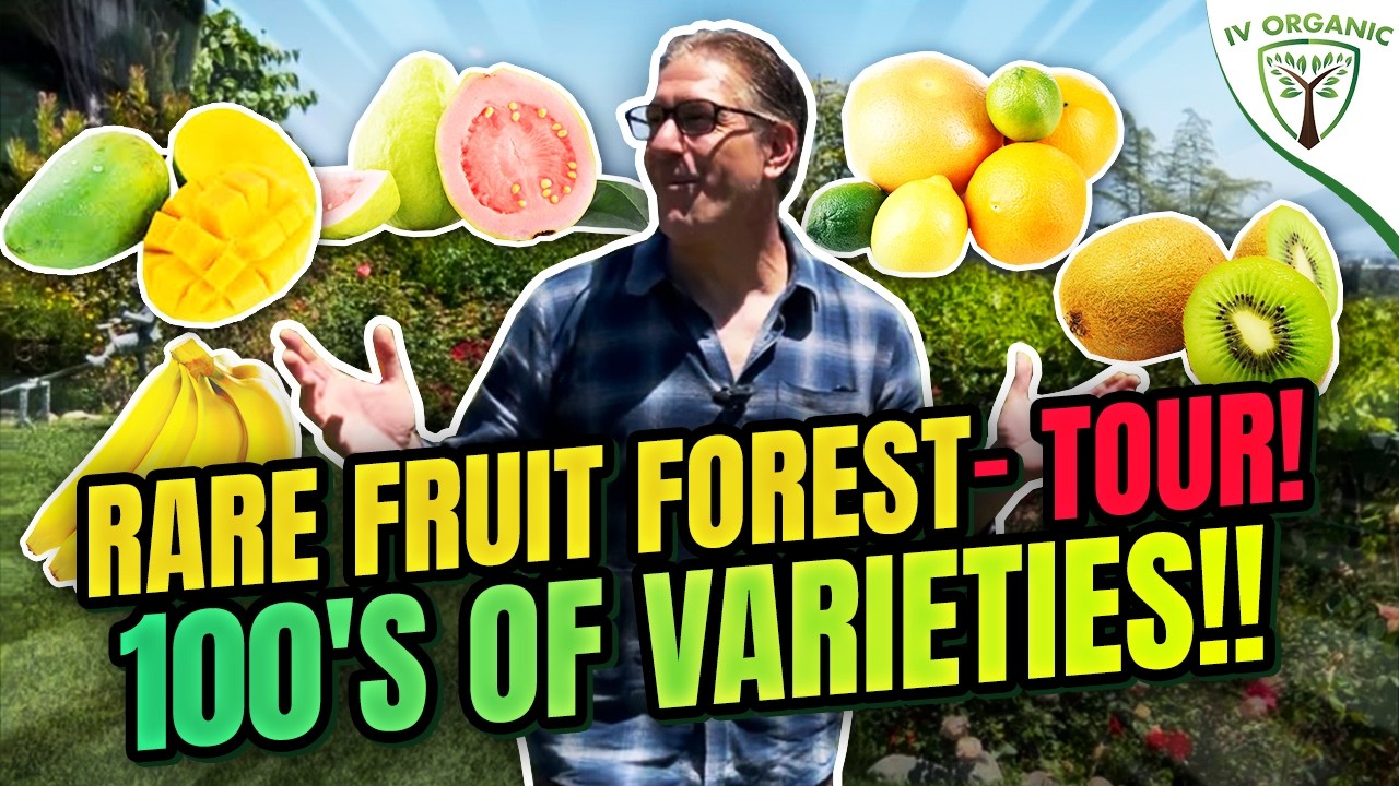 Rare Fruit Tree Orchard Tour