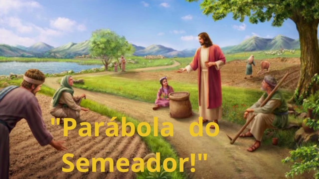 Reflexão do Dia -Marcos 4,1-20