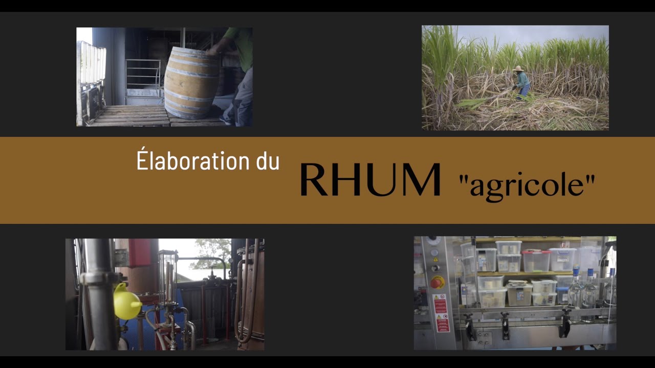 Elaboration du rhum 
