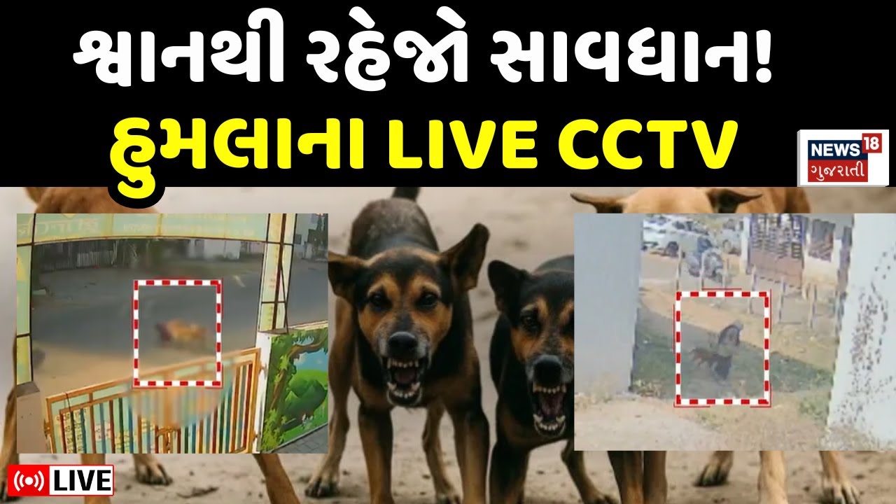 Vadodara Stray Dog Attack LIVE | ગુજરાતમાં રખડતા શ્વાનથી રહેજો સાવધાન | Dahod | CCTV | Attack