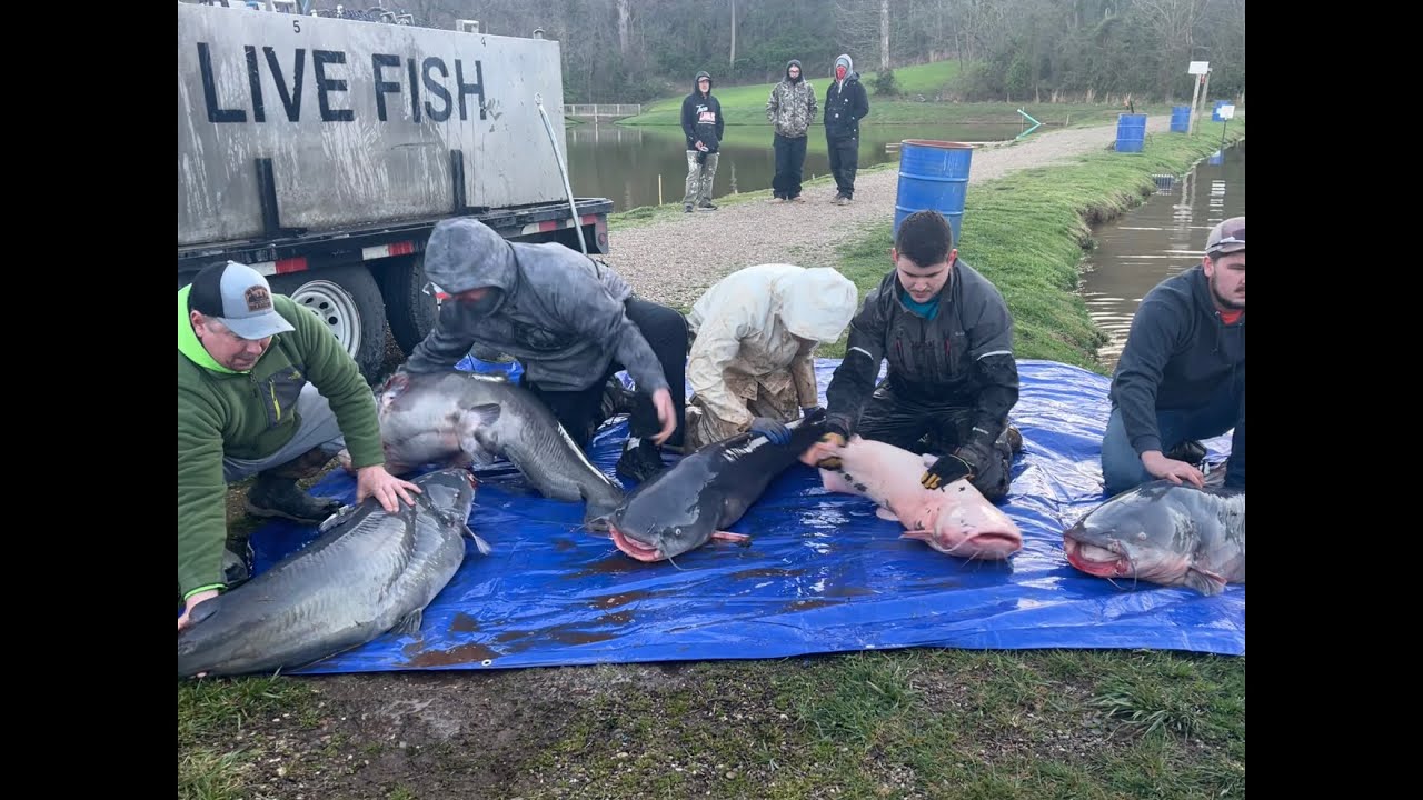 80k PayLake Tournament!!!