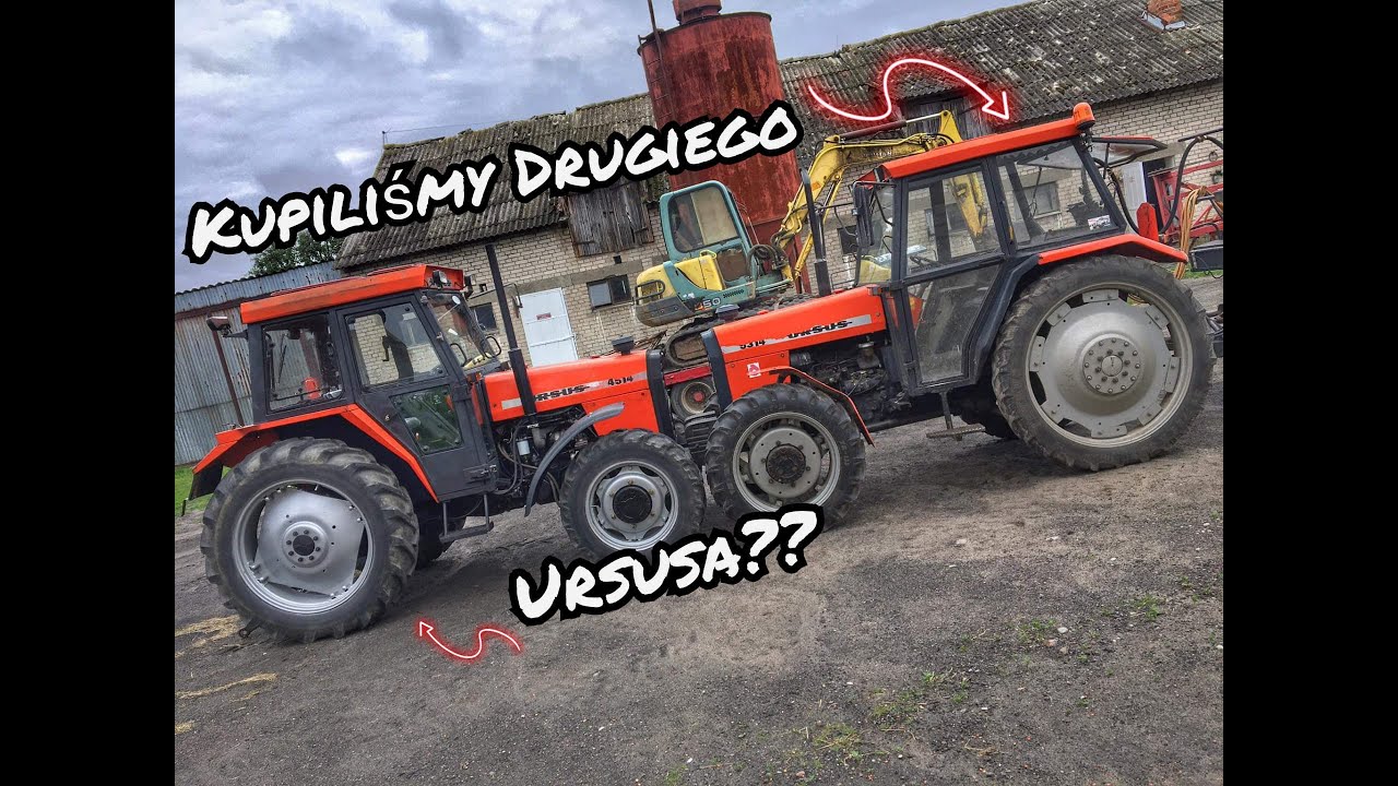 KUPILIŚMY DRUGIEGO URSUSA??? Romeo Oszalał,patent na euro palete
