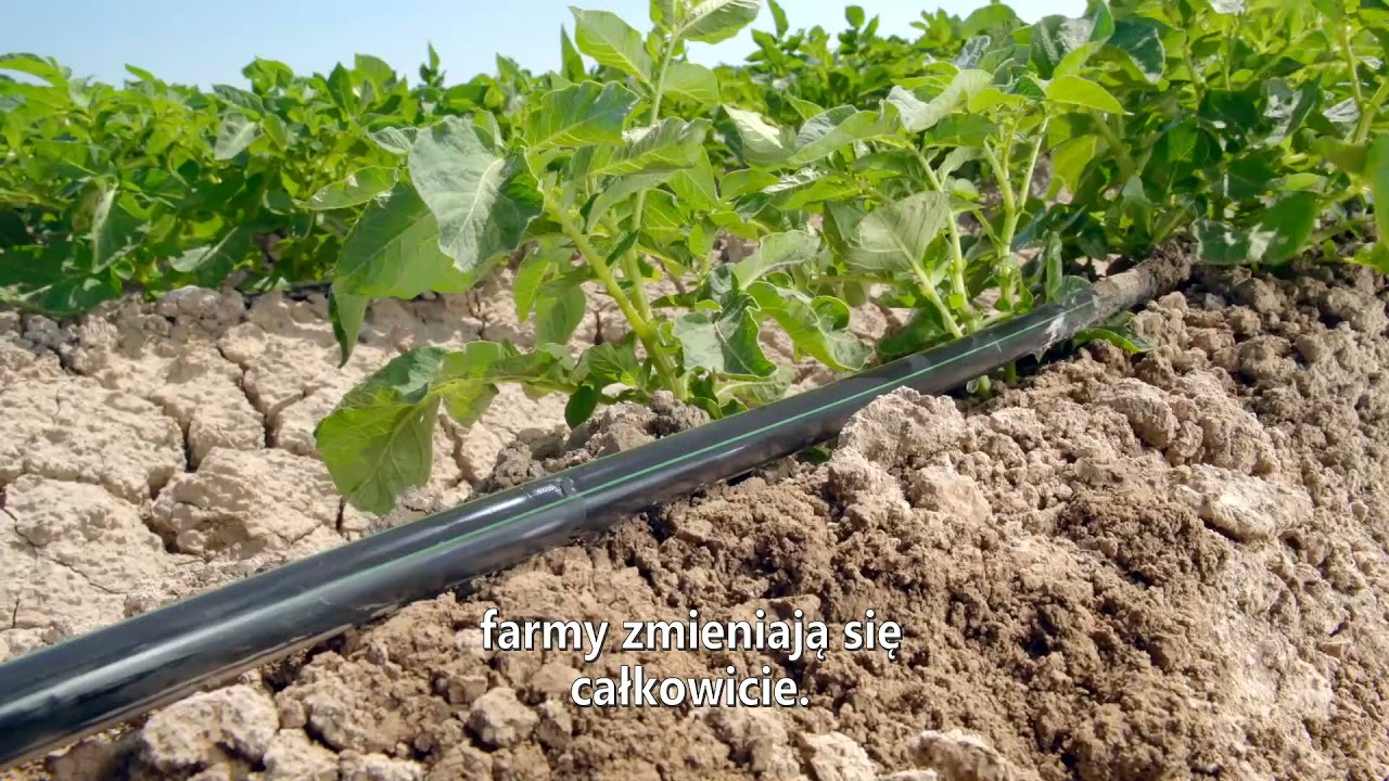 Nawadnianie upraw polowych w Hiszpani przy pomocy produkt&oacute;w Rivulis