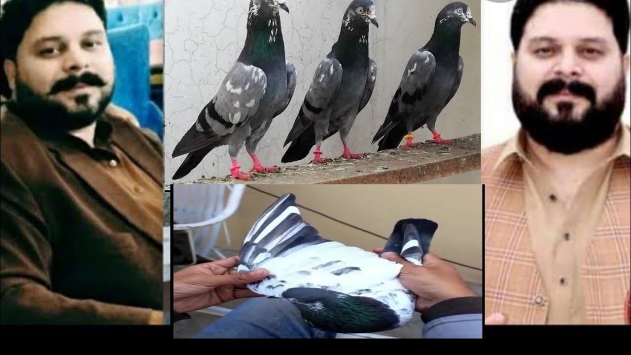 Punjab Champion ustad noman Butt Sahib ki chat se  shoq