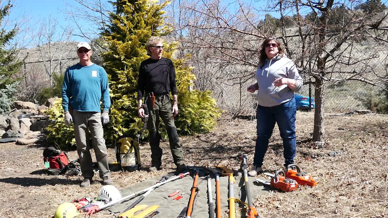 Pruning with the Pros - Introduction