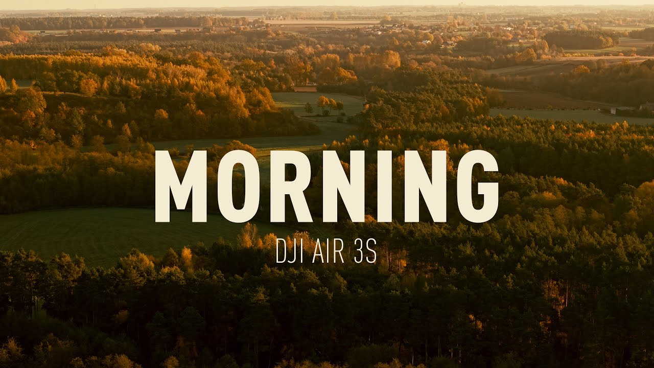 MORNING / Radotki koło Płocka / Poland 2025