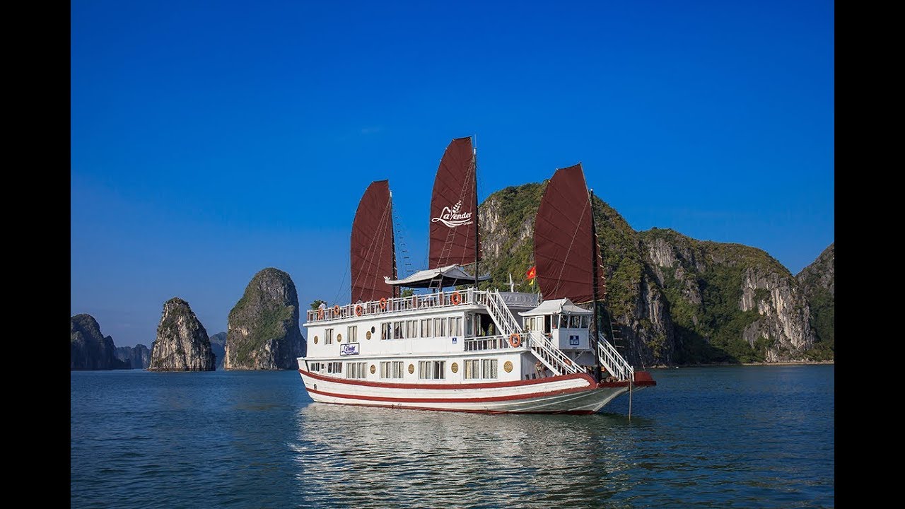 Lavender Cruise - The Flower of The Sea