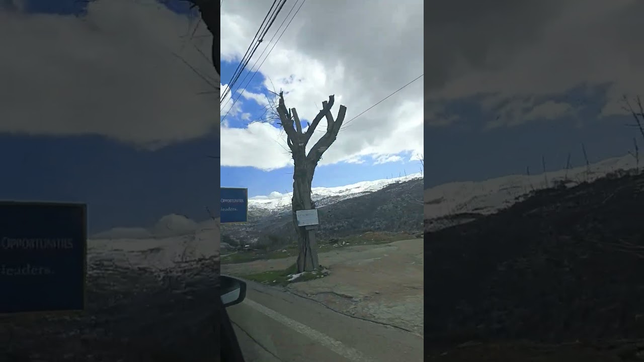 Going to FARRAYA LEBANON