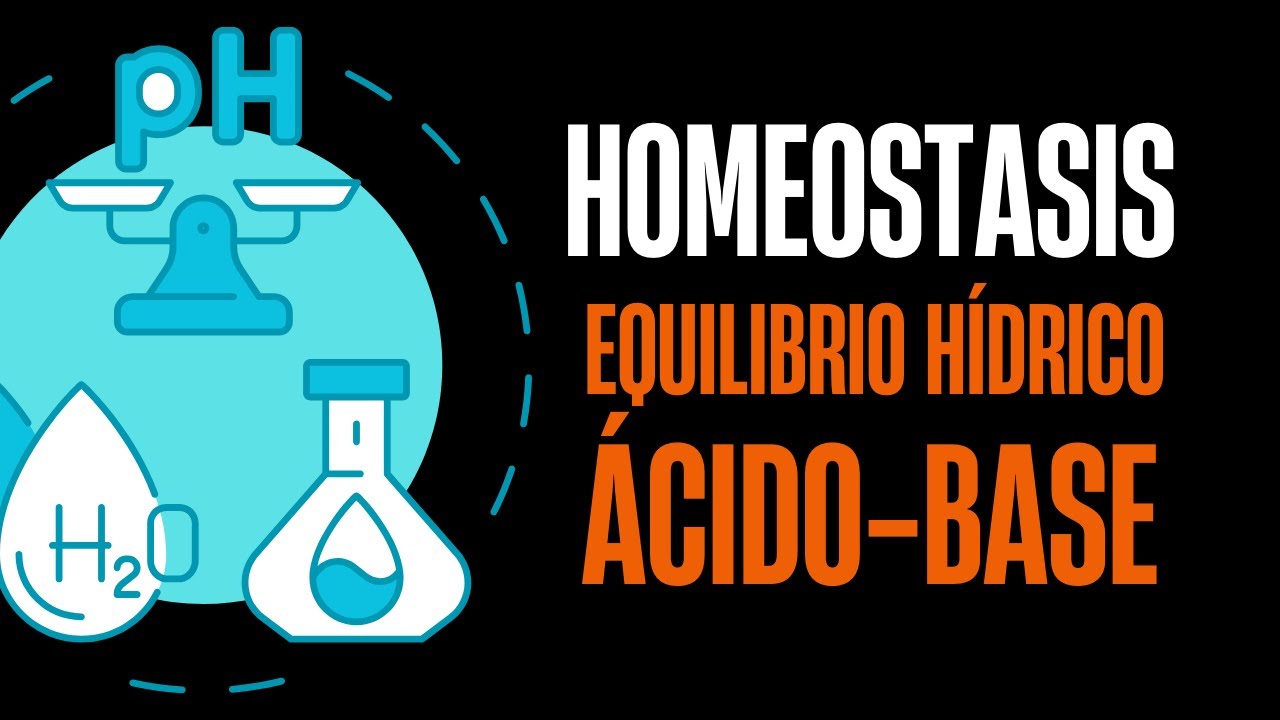 Equilibrio h&iacute;drico, electrol&iacute;tico y &aacute;cido-base &iexcl;Explicaci&oacute;n muy sencilla!