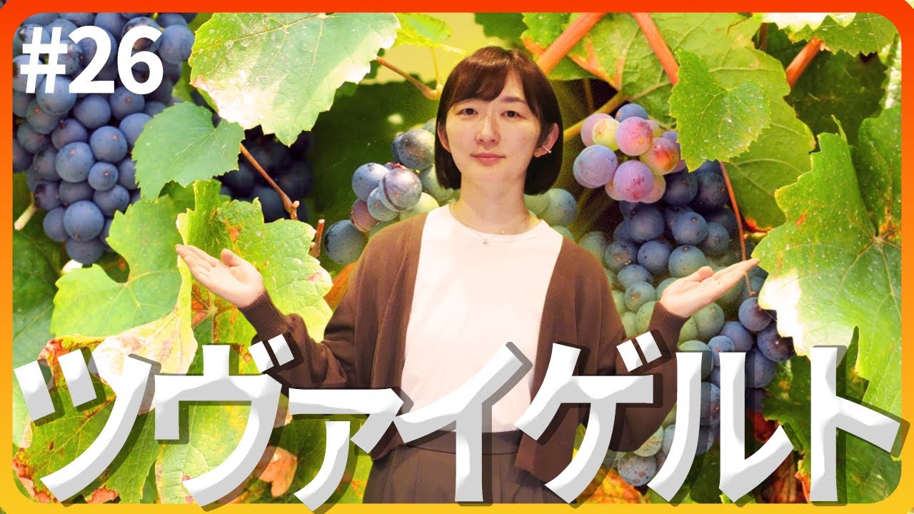#26 ツヴァイゲルト｜ソムリエ・ワインエキスパート試験に登場するブドウ品種たち