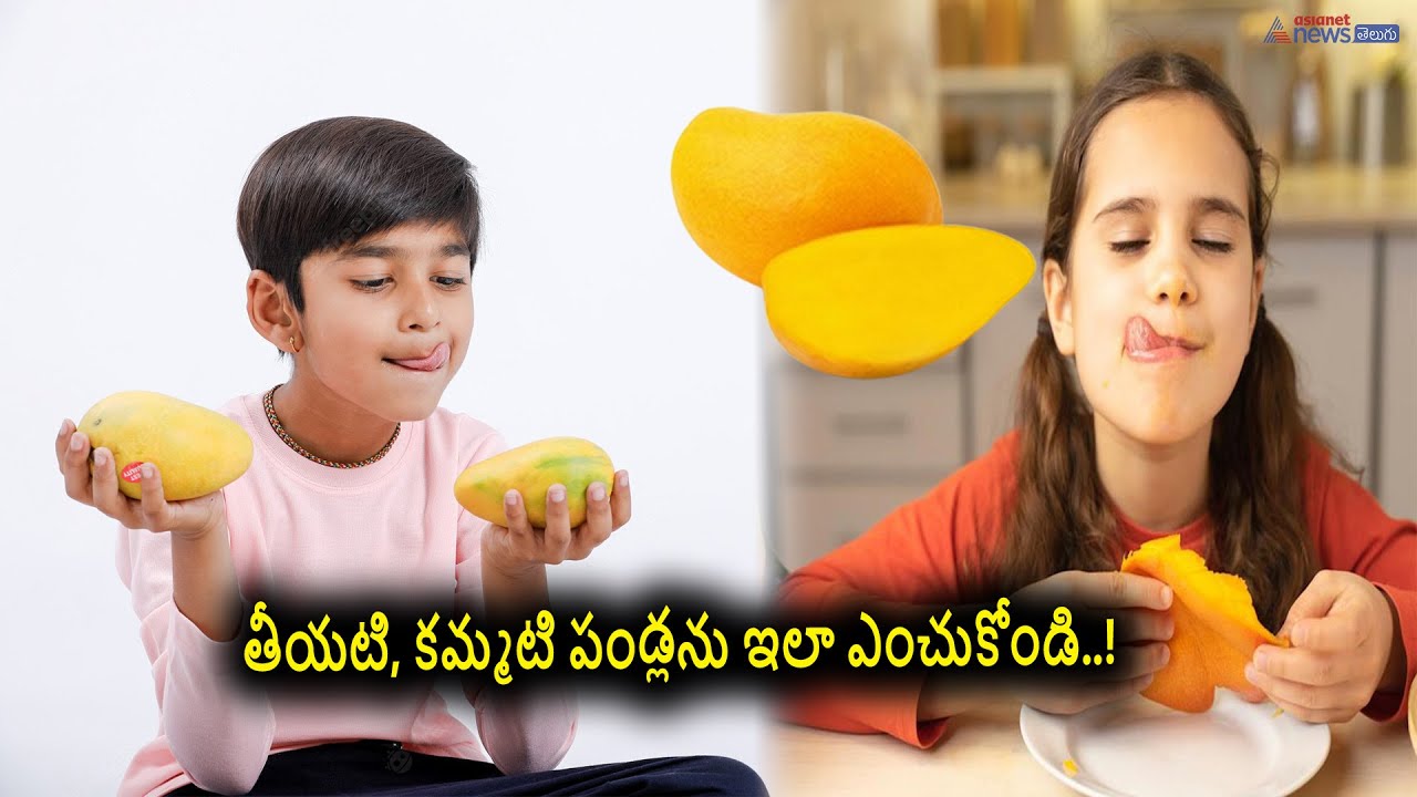 Tips to buy fresh and sweet Mangoes || How to select sweet mango