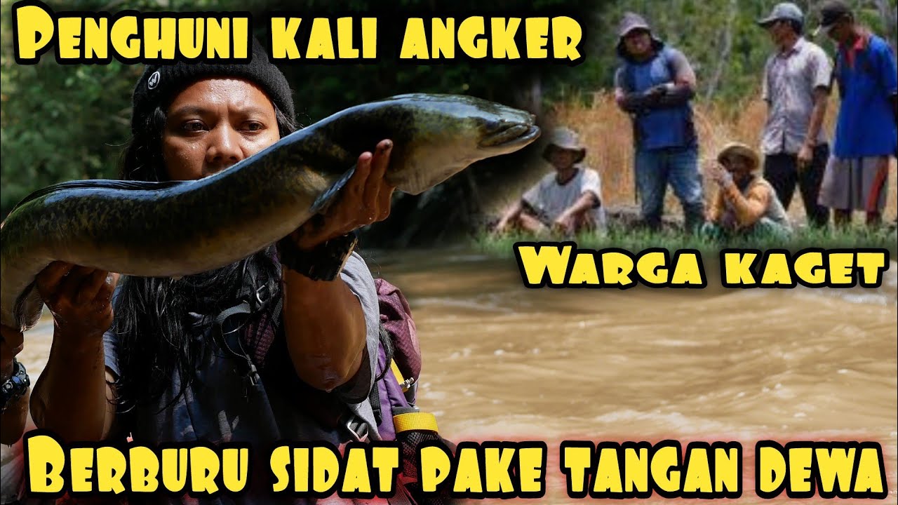 WARGA SETEMPAT BENGONG TANGKAP SIDAT RAKSASA PAKE TANGAN KOSONG