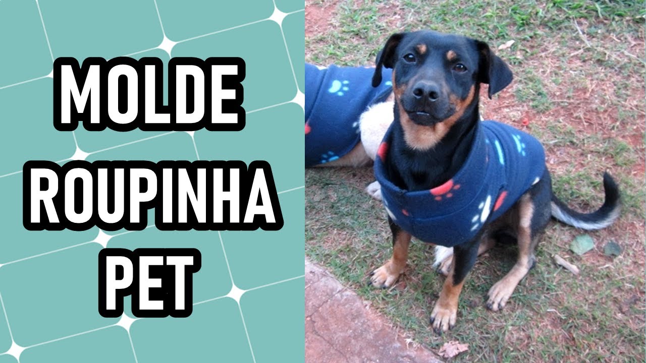 Como fazer roupinha para cachorro | MOLDE