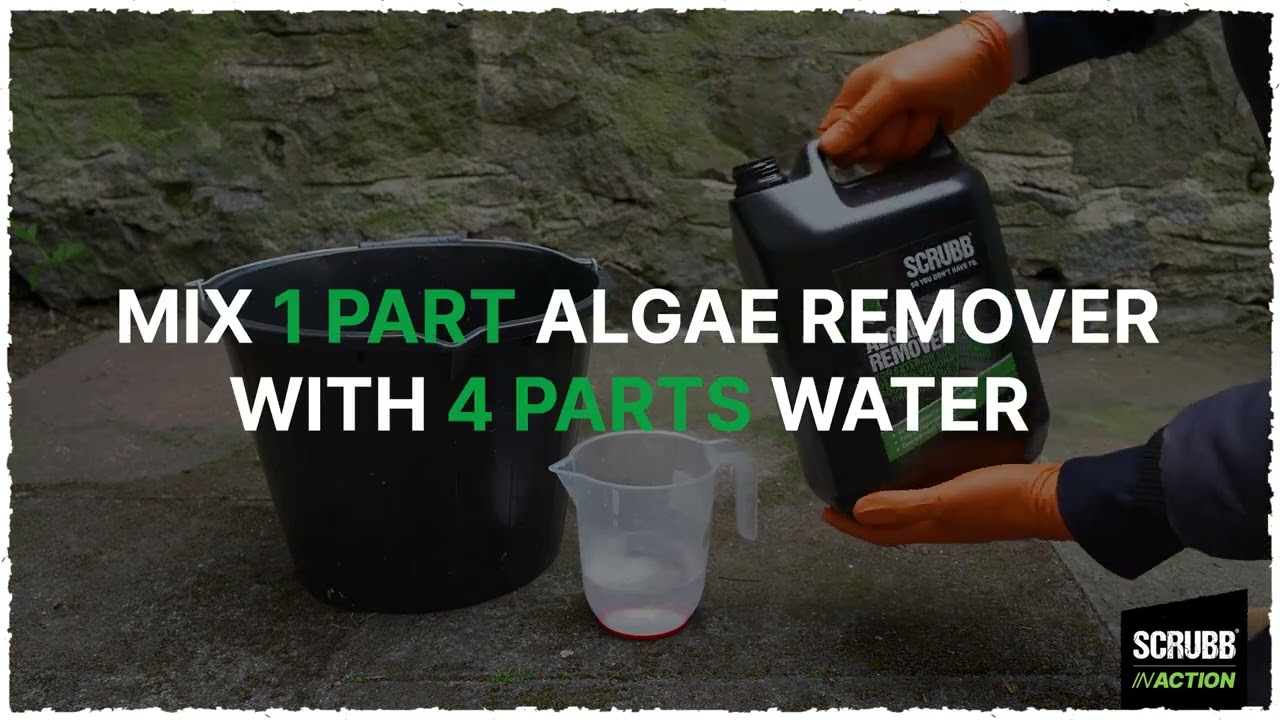 How to Remove Green Algae from Patios & Walls | SCRUBB How-to
