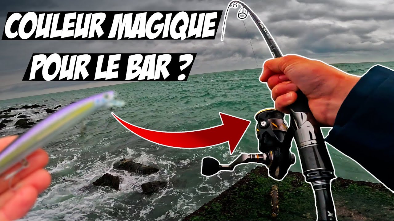 CETTE COULEUR MAGIQUE FAIT DES RAVAGES EN PÊCHANT LE BAR DU BORD 💥🪄