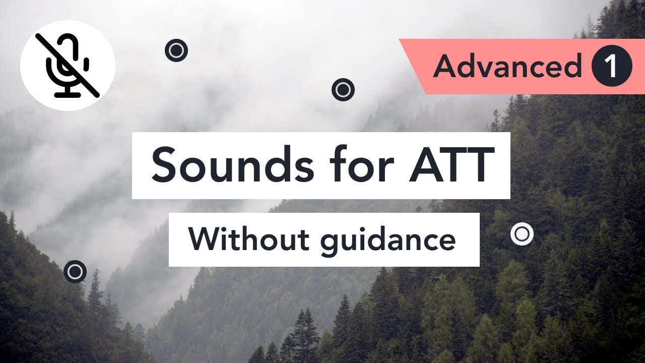 Attention Training Technique without guidance (A1)