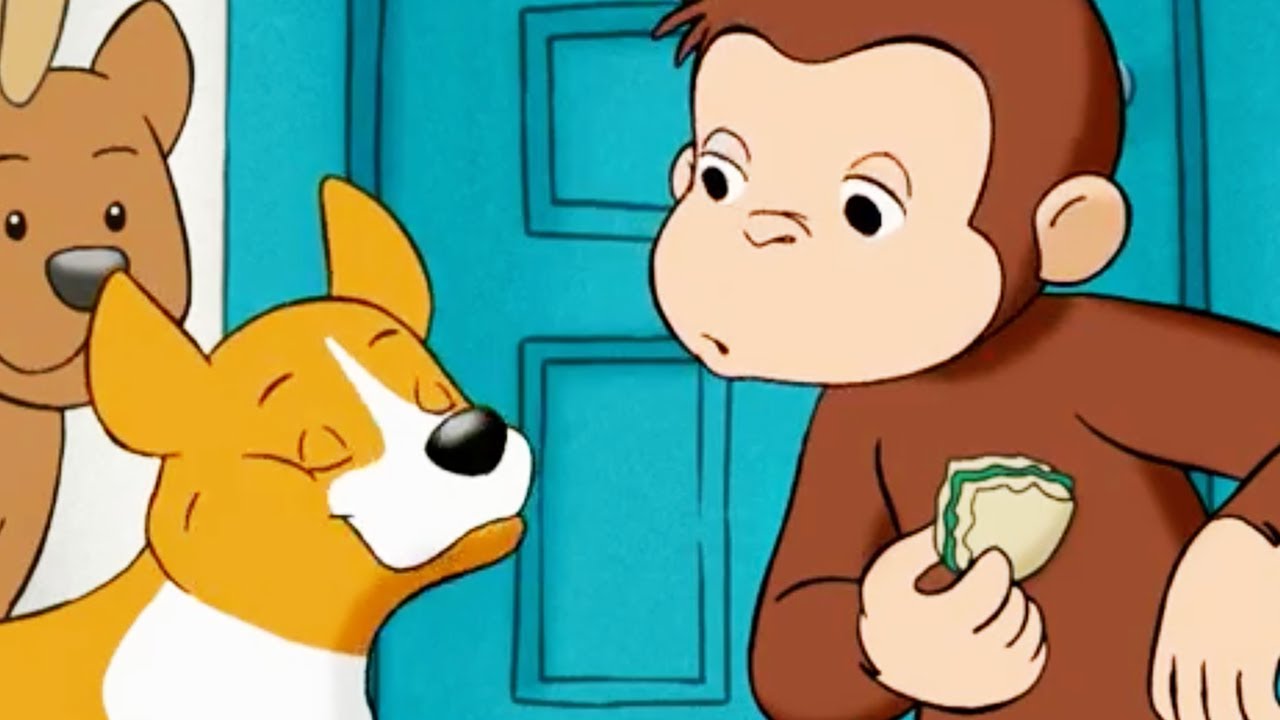Georges le Petit Singe 🐵Le Concours Canin 🐵Saison 1 Épisode Complet 🐵Dessins Animés