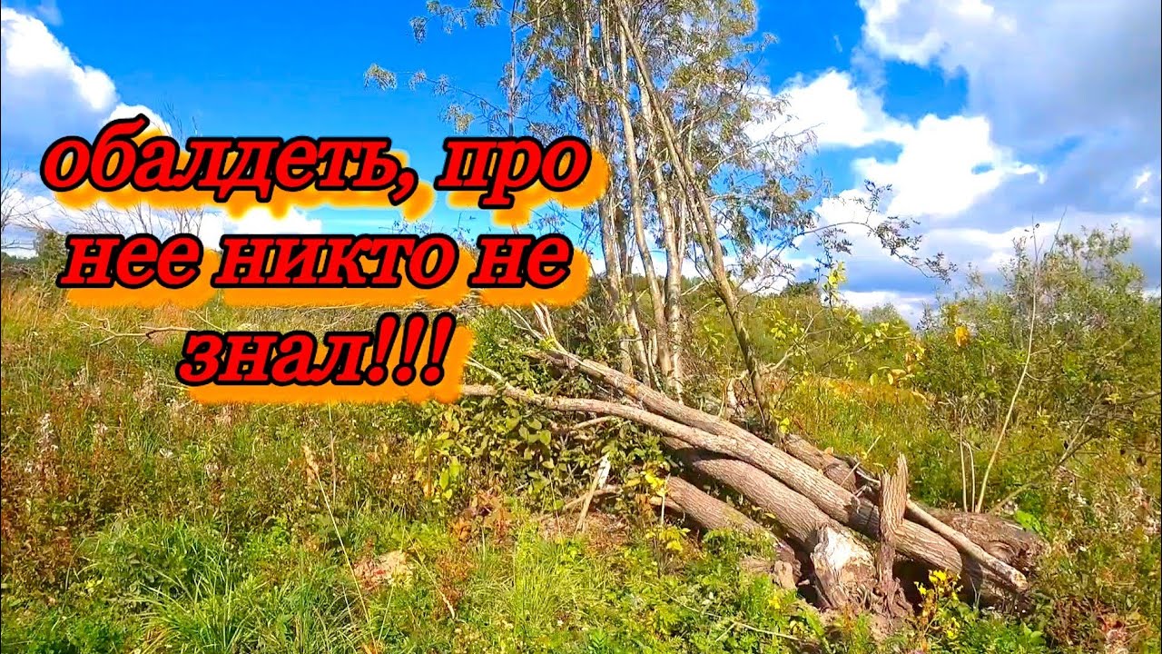ВОТ ЭТО ДА!!! НАШЛИ НА КРАЮ ДЕРЕВНИ НЕТРОНУТУЮ КУЗНИЦУ ВОЗЛЕ УПАВШЕГО ДЕРЕВА! МЕТАЛЛОКОП