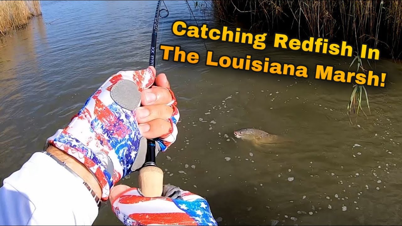 Catching Redfish In The Louisiana Marsh - Flats Class YouTube