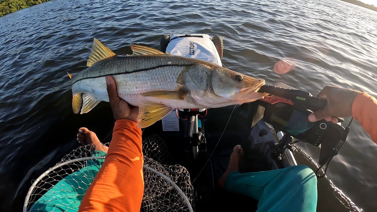 Pesca do Robalo.