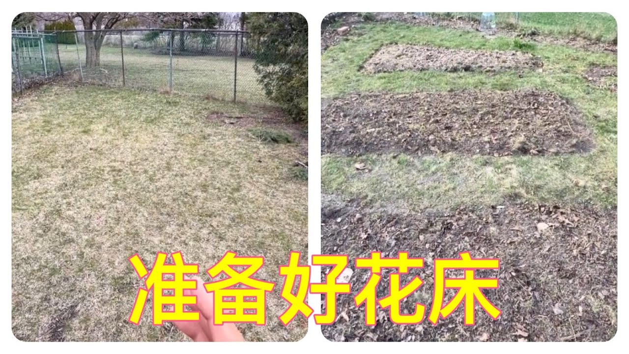 小草花园 - 花床准备就绪 - 阶段性总结