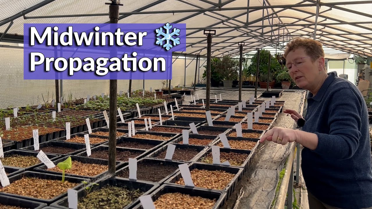 Commercial Nursery Propagation in Winter | Behind The Scenes