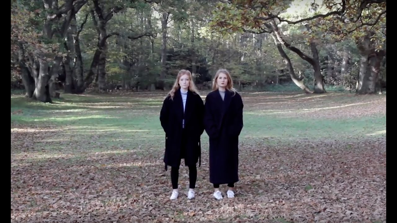 Confident - Demi Lovato | Cover Carlijn & Merle