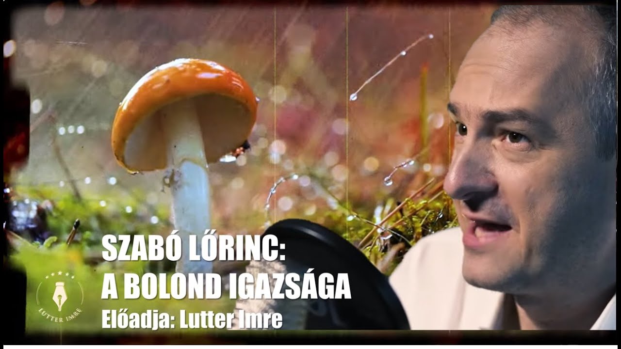 SZABÓ LŐRINC: A bolond igazsága - Vers mindegy kinek /Lutter Imre versfilmje