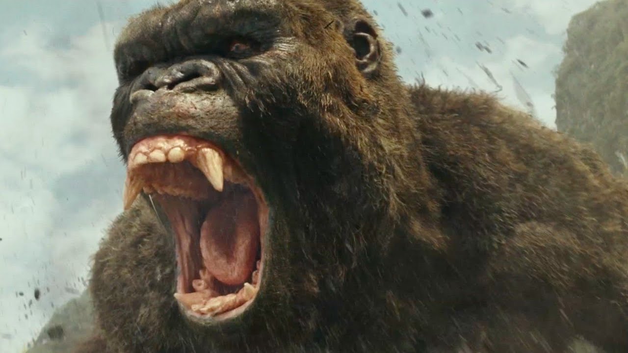 Jak zakończy się historia Konga w Godzilla vs Kong?