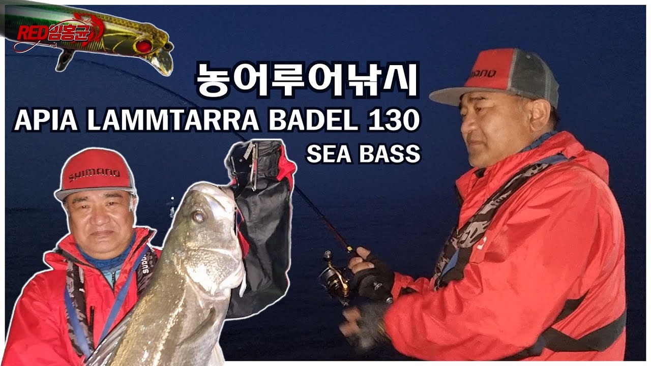 [울산] 여름 농어루어낚시 🎣 스승님과 낚시 하면??? 🎣 OTL... 초심 (初心) APIA LAMMTARRA BADEL 130