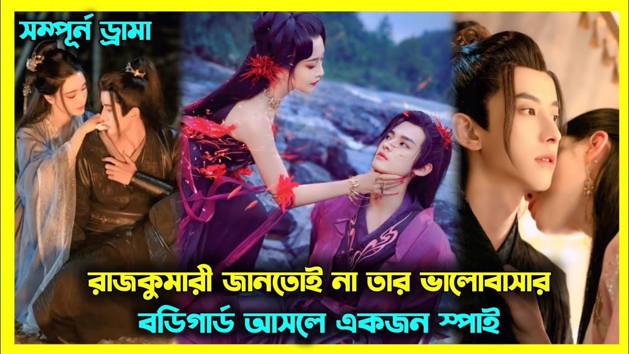 রাজকুমারী যখন তার হ্যান্ডসাম বডিগার্ডকে পছন্দ করে ফেলে 🫣 Chinese drama all episode explain 💝