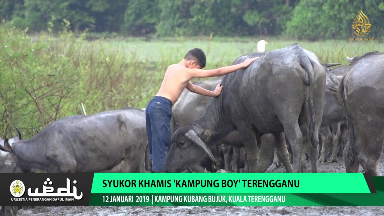 Syukor Khamis 