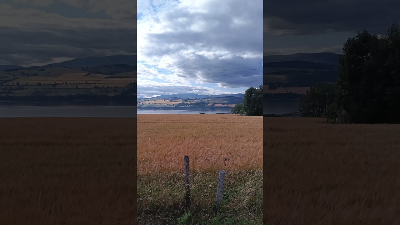 Looking at the Cromarty Bridge from Culbokie on the John O'Groats trail 