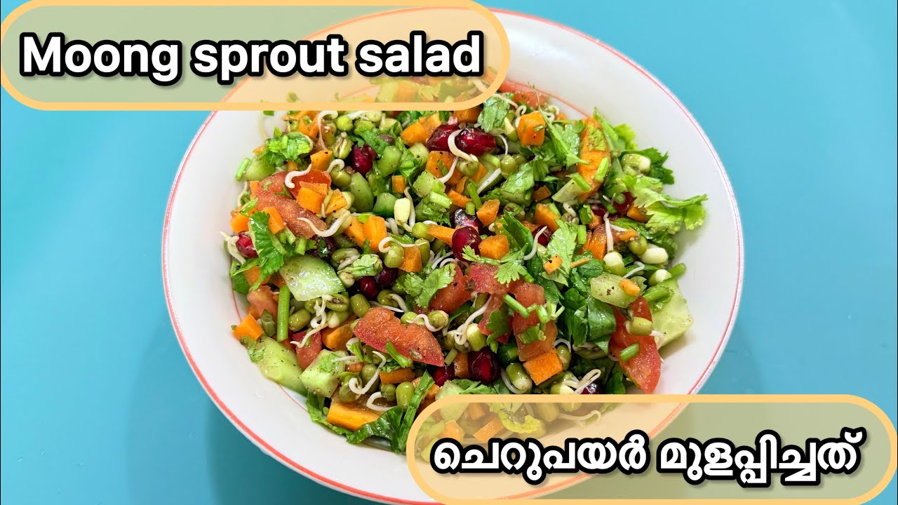 Moong sprout salad || ചെറുപയർ മുളപ്പിച്ചത് || Easy and healthy protein rich salad in 10 mins