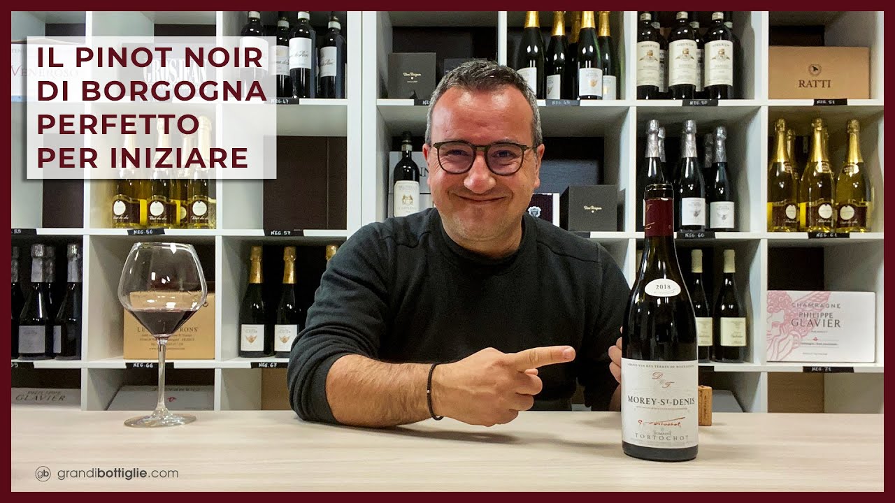 Il Pinot Noir di Borgogna perfetto per iniziare