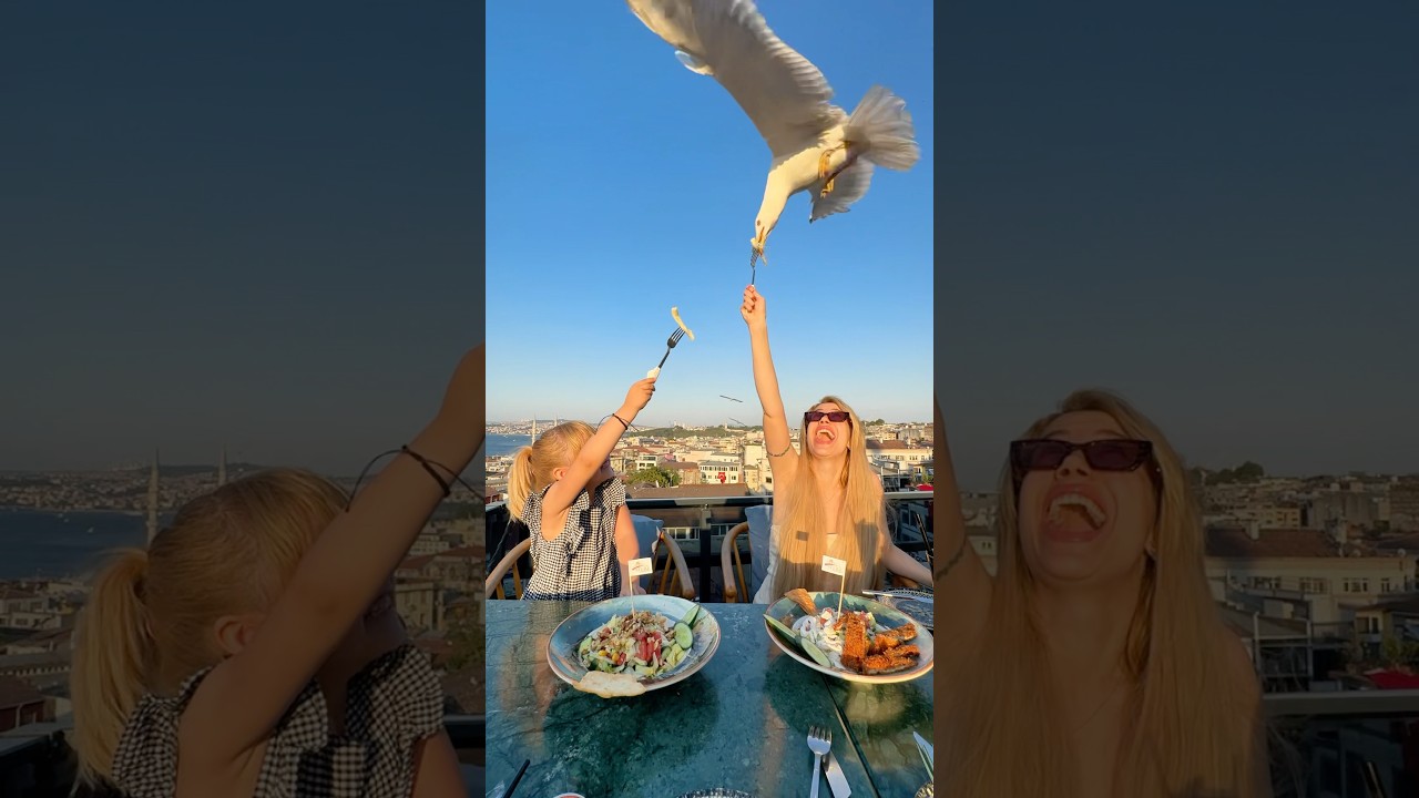 Plan that vacation and come feed the seagulls in Istanbul 🕊️🤍