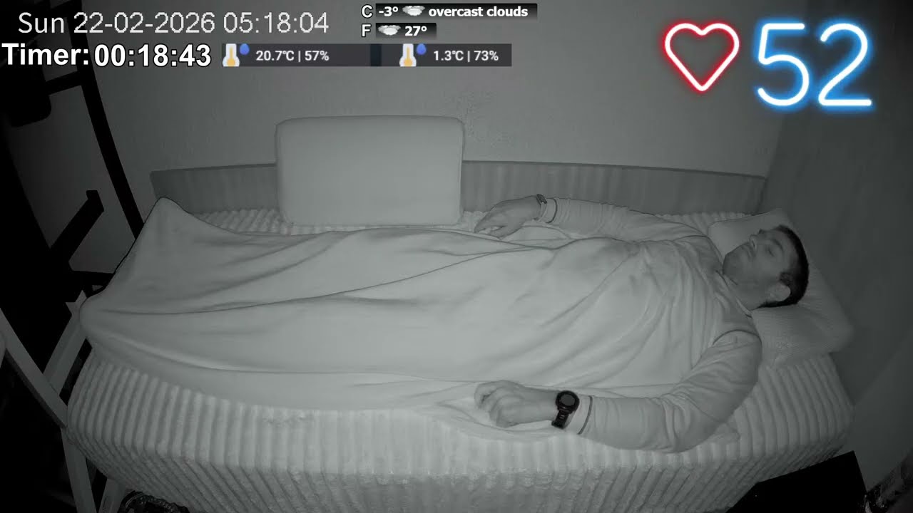 Normal Sleep Stream ASMR №1279 22.02.2026
