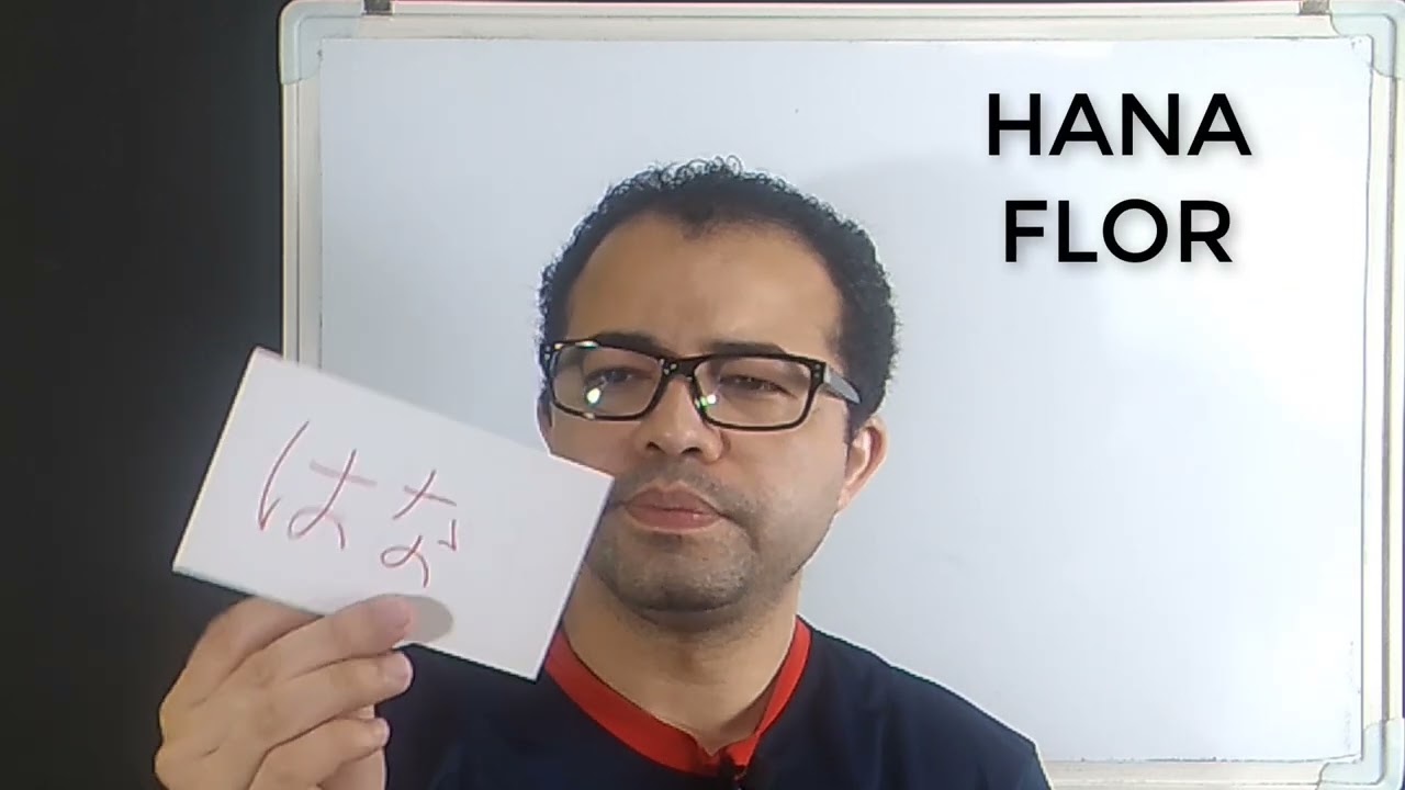 VOCABULARIO 2 - LINEAS DE TA, NA Y HA