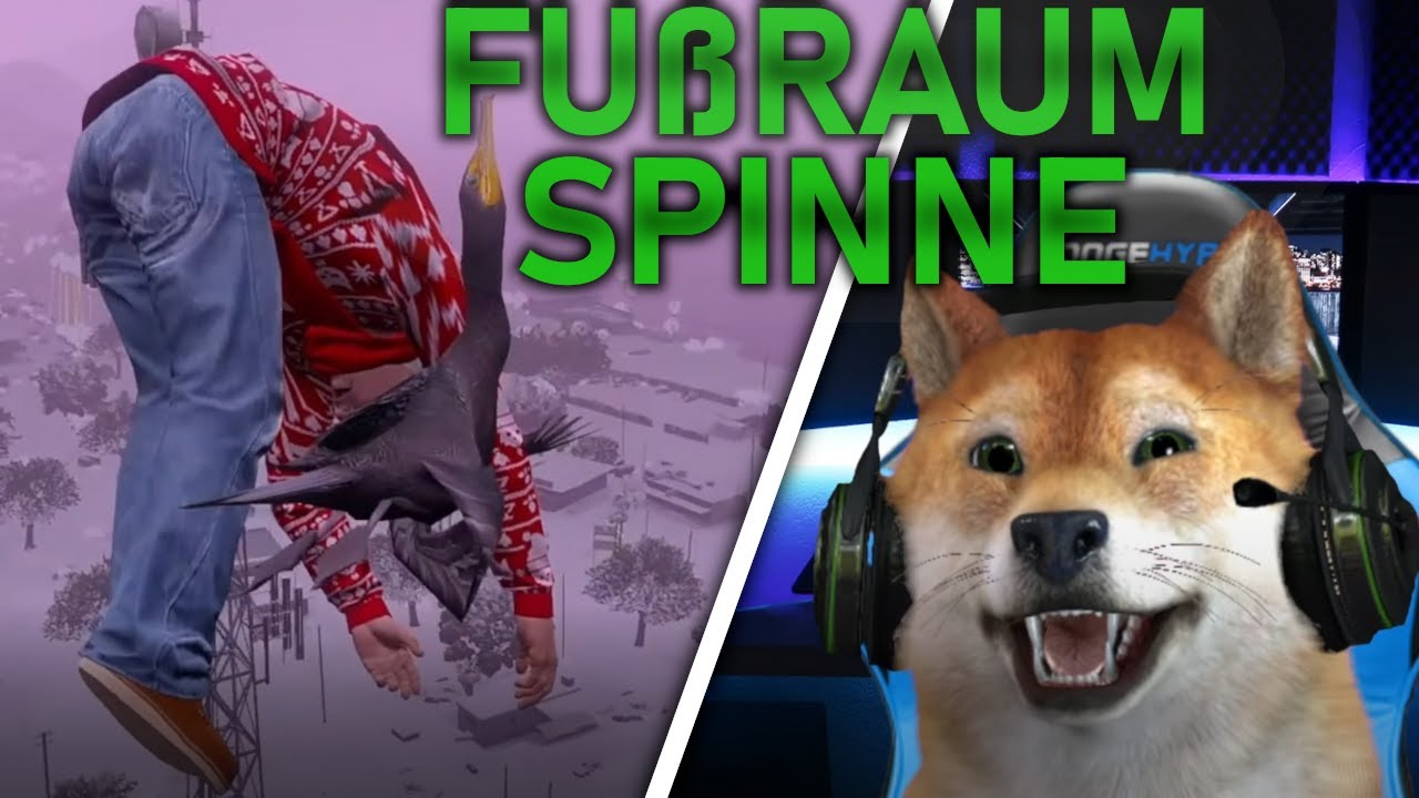 FUßRAUMSPINNE ON TOUR/ CSYON HIGHLIGHT/ RLO 2.0