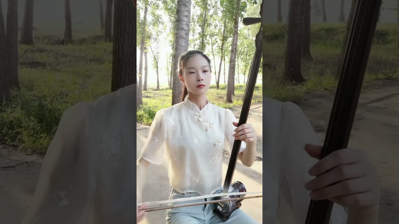 #河南经典曲剧#曲胡《秦香莲》说什么一步走错祸临身DOU+小助手