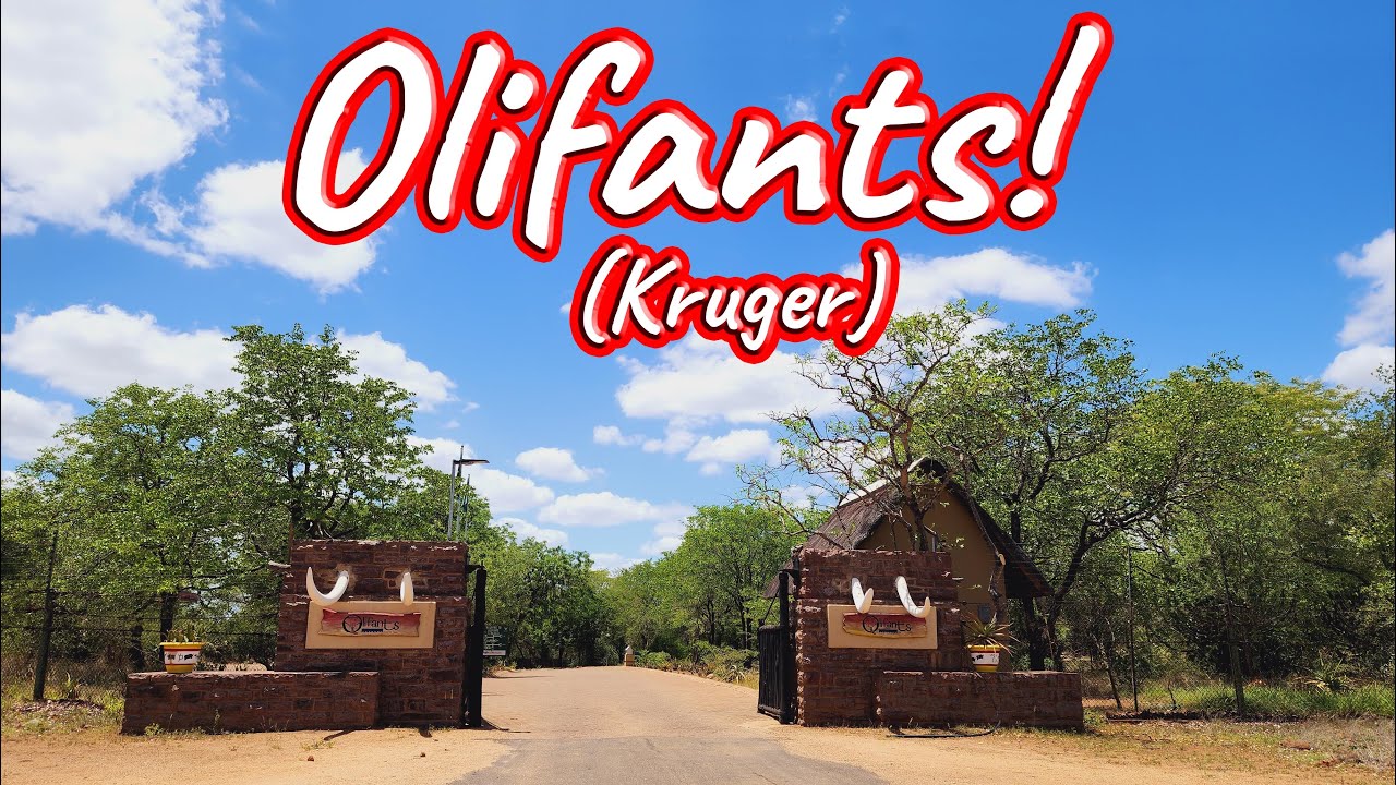 Olifants Rest Camp! Ep 431