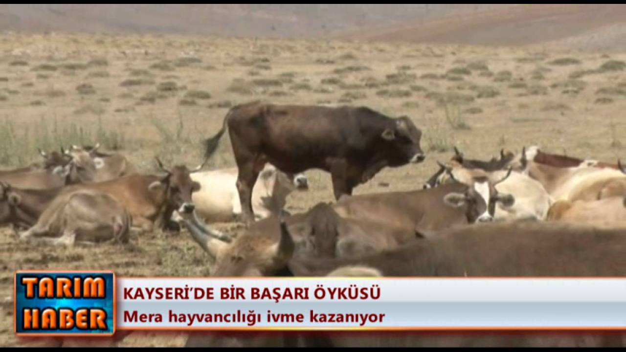 Kayseri'de bir başarı öyküsü