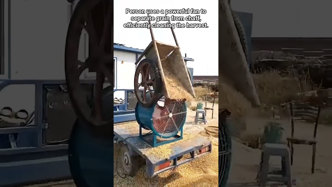 Grain Separating Process.