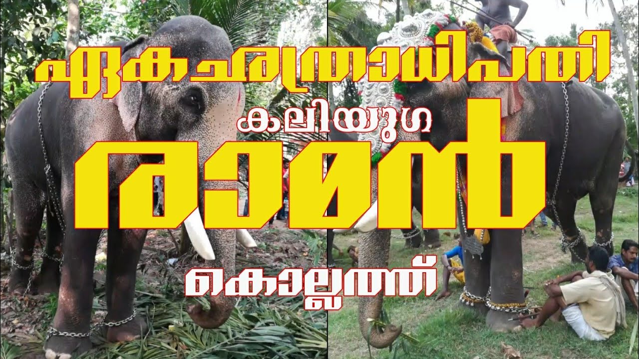 Thechikottukavu Ramachandran in Kollam Kumbazhakkavu Temple 29-04-2018 | രാമൻ | Raman